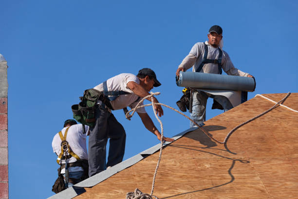 Best Roof Replacement Cost  in Colonial Heights, VA
